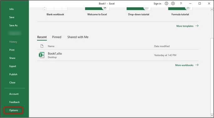 Saisir l'option Excel