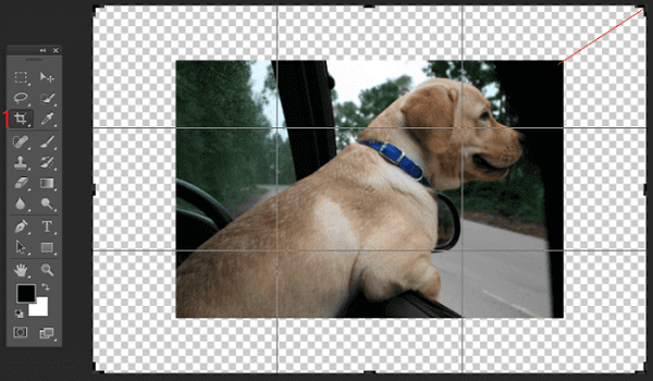 image de recadrage photoshop
