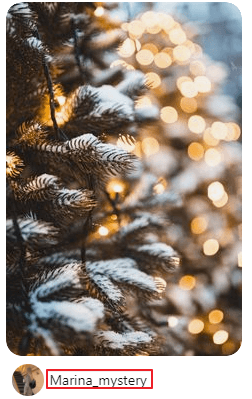 restaurer la photo Pinterest avec le nom d'utilisateur