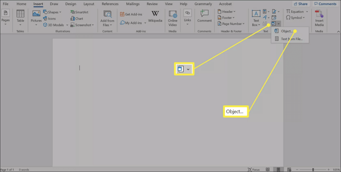 insérer un pdf dans word