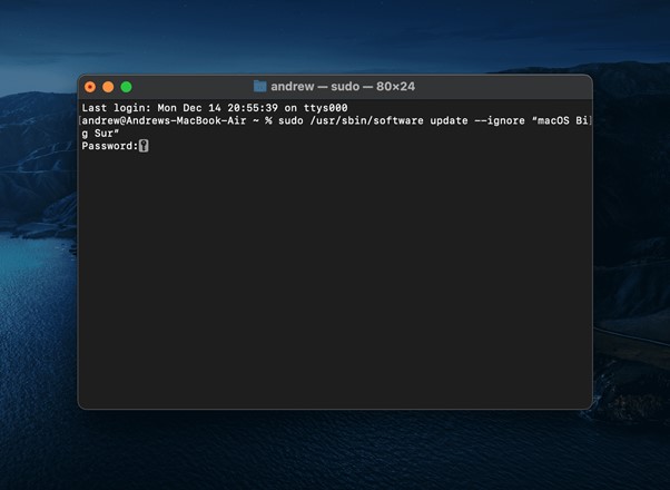 comment arrêter les mises à jour automatiques de macos