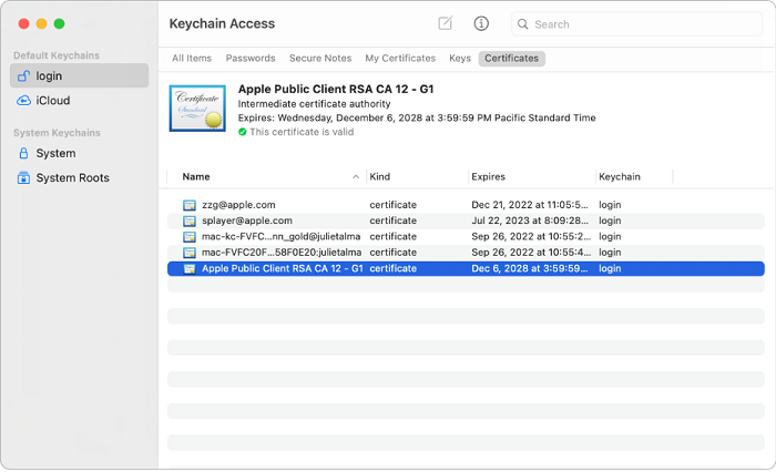 Accéder au trousseau iCloud sur Mac