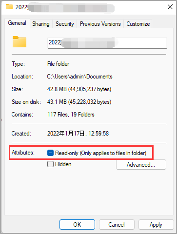 décocher la lecture seule