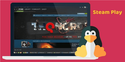 Jouer à des jeux Steam sur Linux