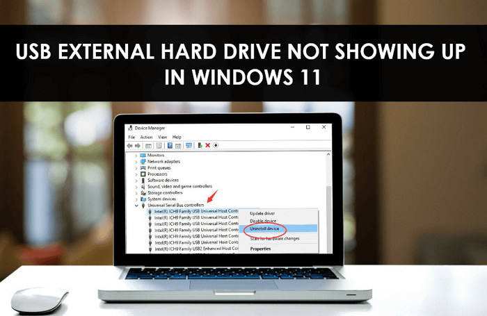 Le disque dur externe USB ne s'affiche pas dans Windows 11