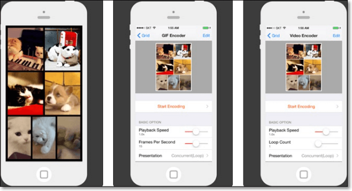 Fusionner GIF sur iPhone - GIF Grid
