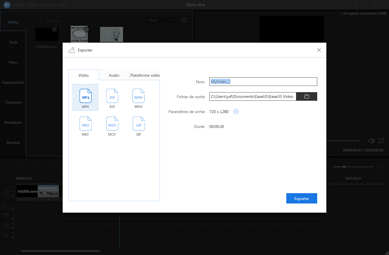 Exportez la vidéo et sélectionnez le format souhaité