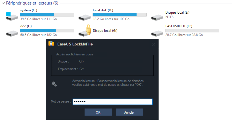 saisir le mot de passe pour accéder au disque dur