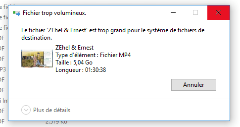 le fichier est trop grand pour le systeme de fichier de destination