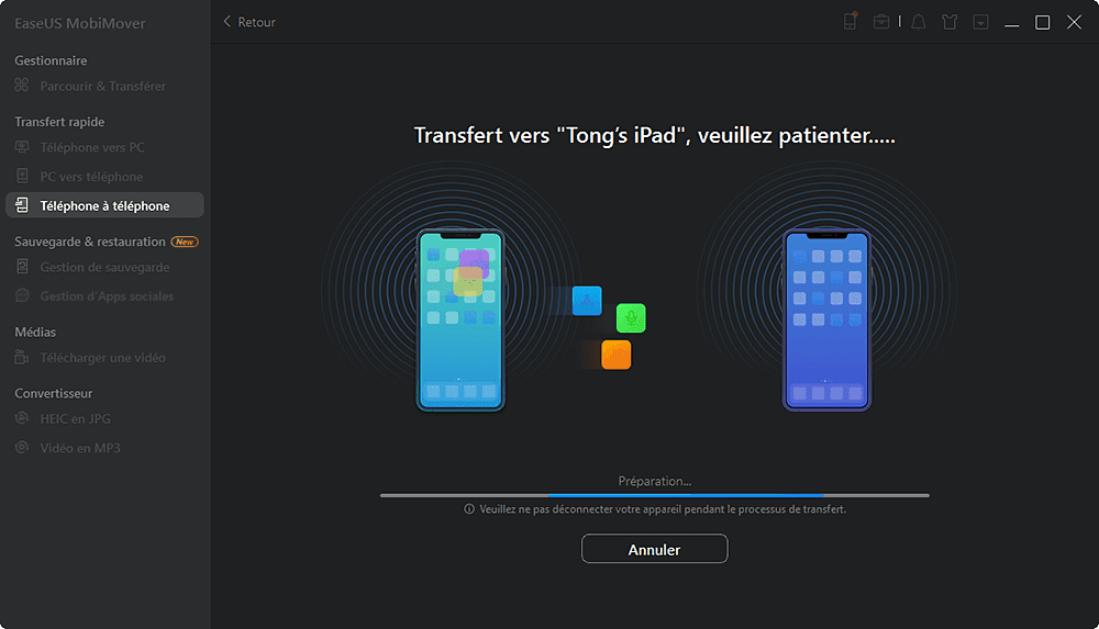launch the transfer process