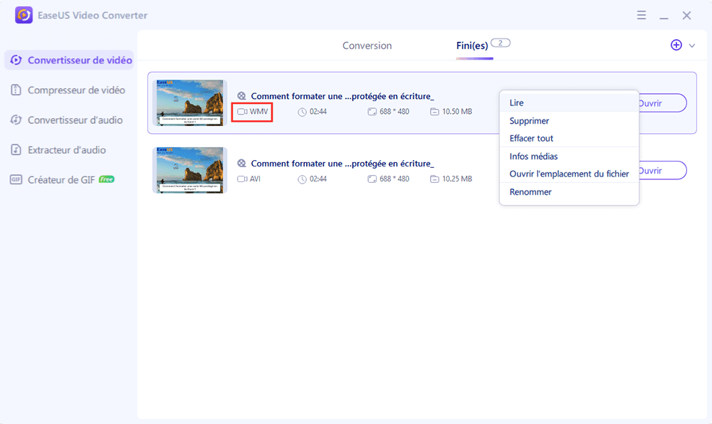 vidéo au format de sortie wmv