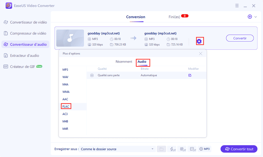 Sélectionnez le format FLAC