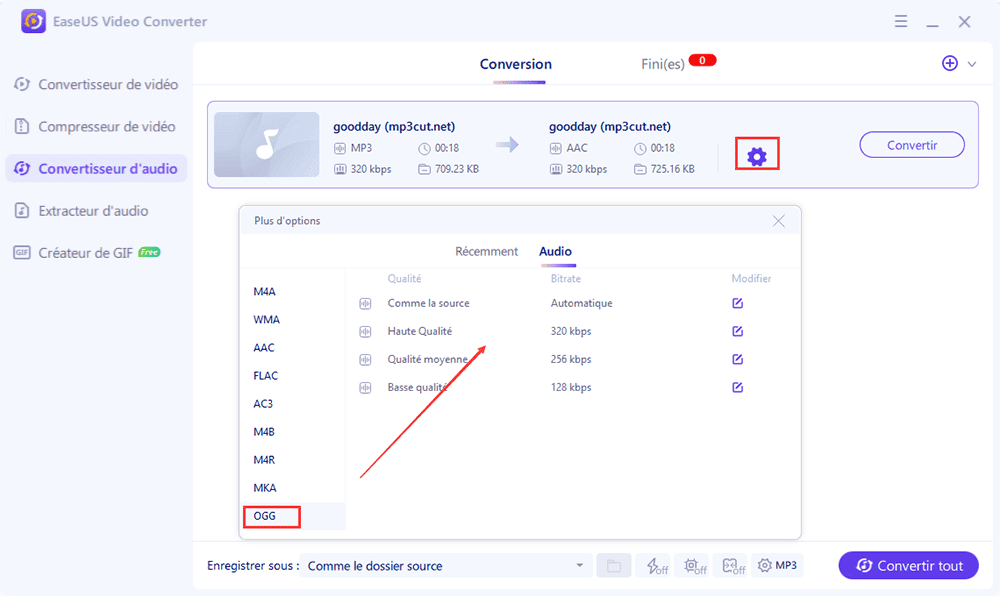 sélectionnez le format ogg