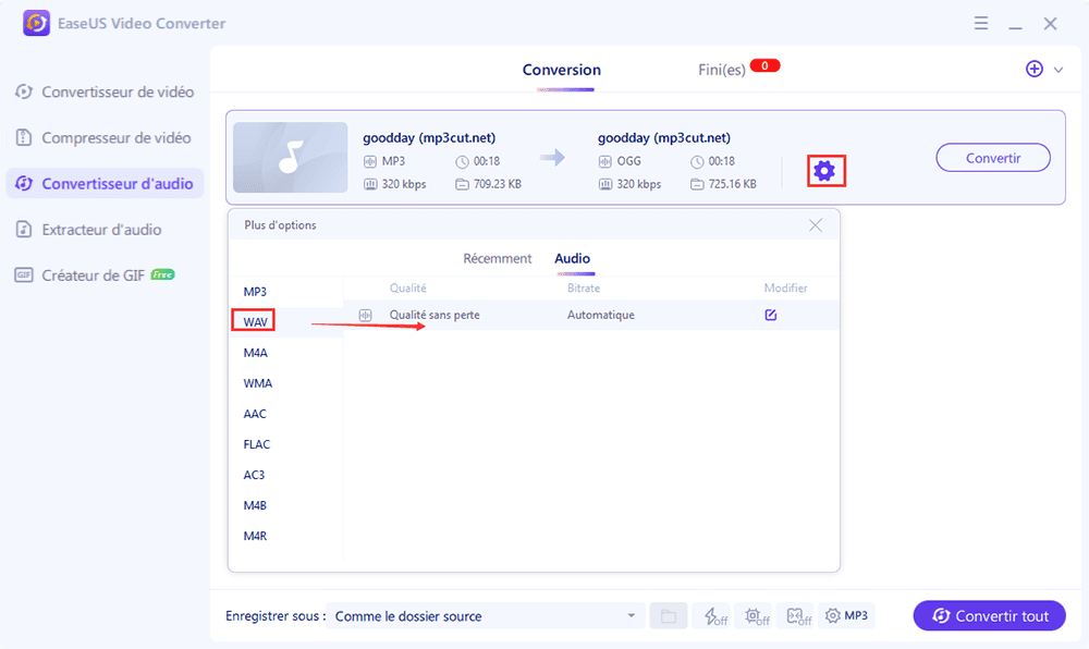 Choisissez le format de sortie