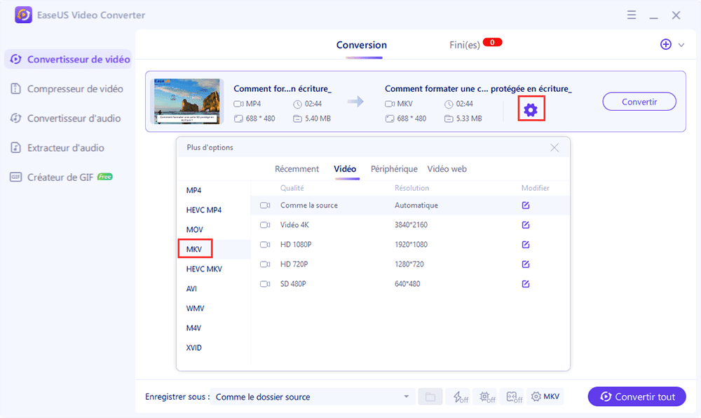 format de la vidéo mkv