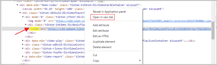 Télécharger des vidéos TikTok depuis le site