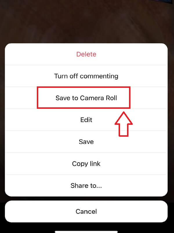 Téléchargez votre propre bobine Instagram