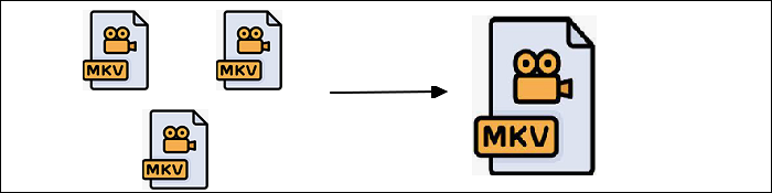 combiner mkv