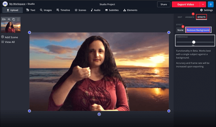 Effacer l'arrière-plan d'une vidéo en ligne