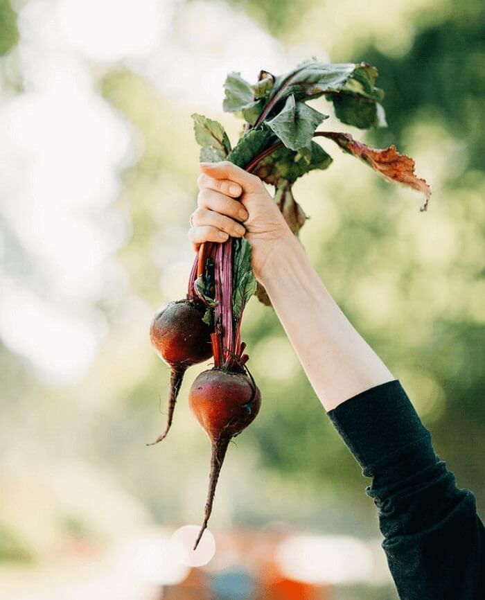 [Méthodes gratuites] Comment remplacer du texte dans un PDF en ligne/hors ligne