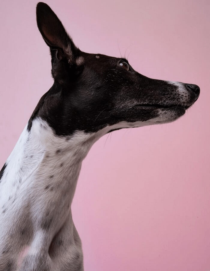 Gratuit | Comment convertir un PDF en Word sans perdre la mise en page