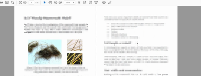 pdf côte à côte visualisation