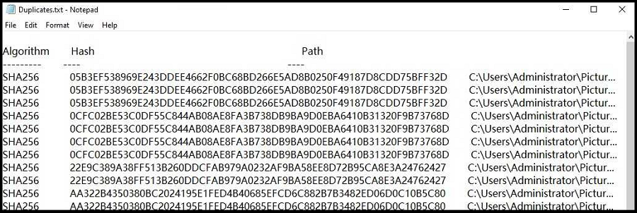 fichier texte des fichiers en double