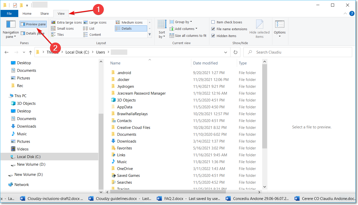 volet de prévisualisation