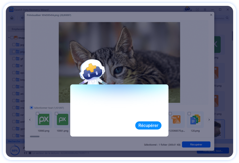 preview and recover data